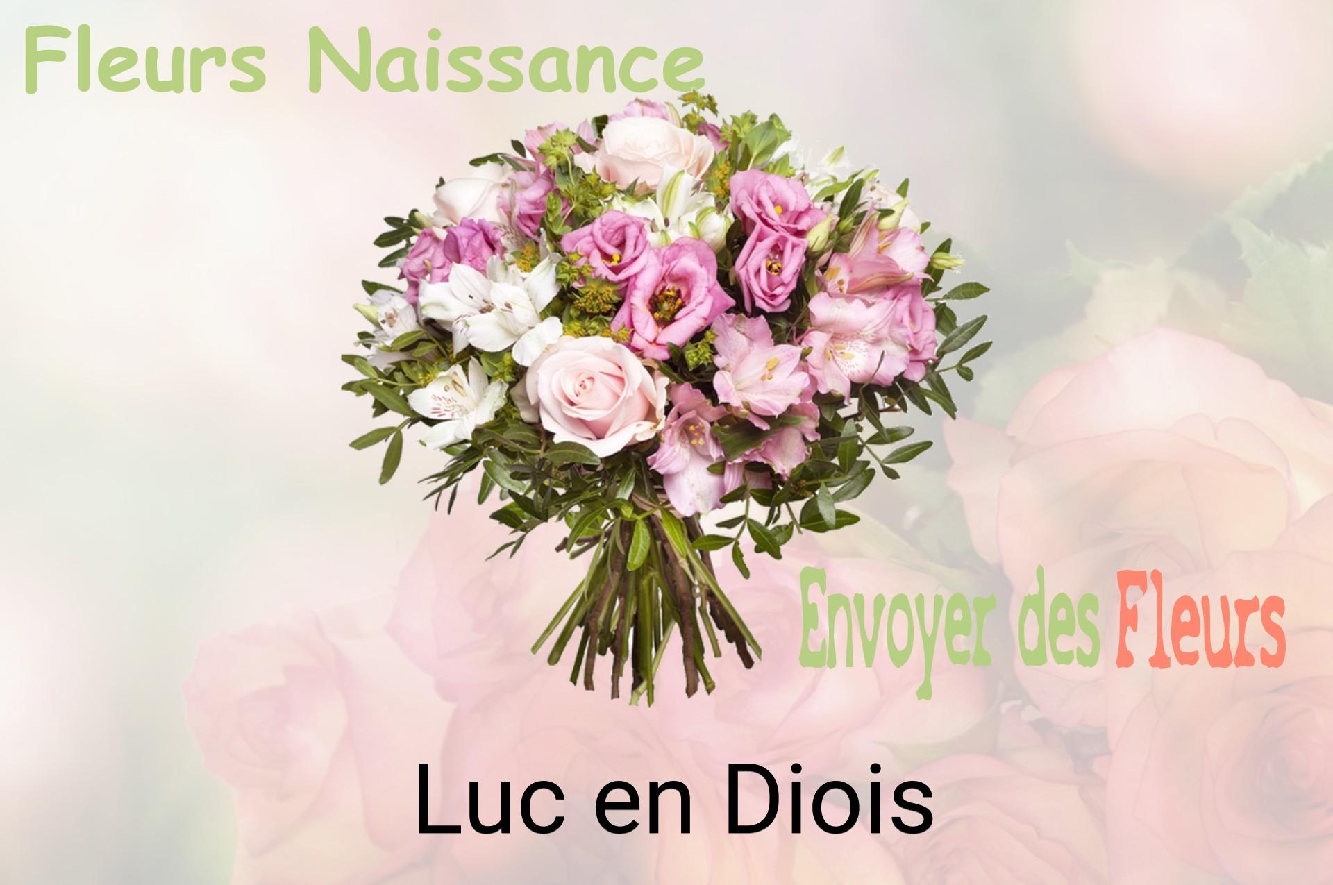 Bouquet de fleurs de naissance livré à Luc-en-Diois