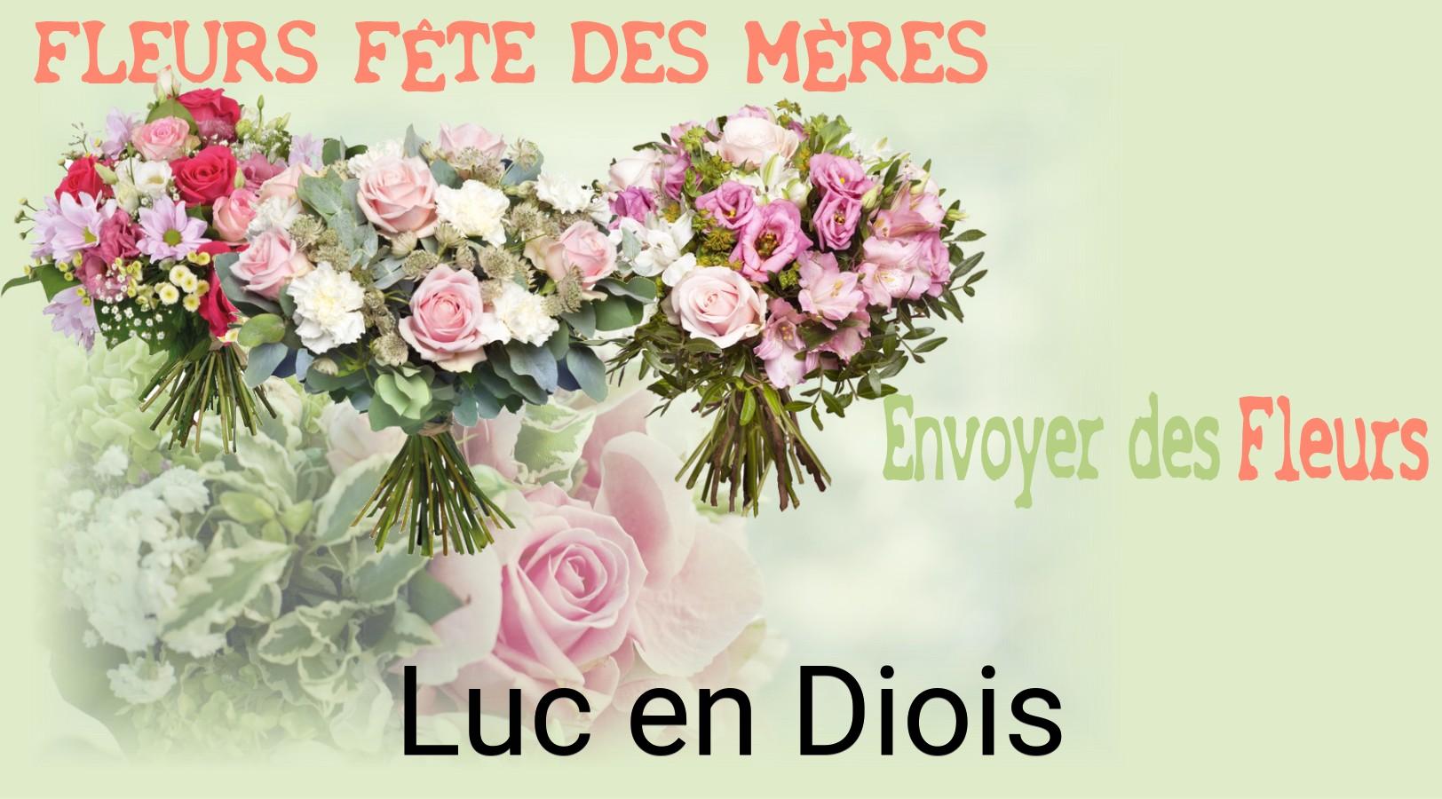 Bouquet de Fête des Mères livré à Luc-en-Diois